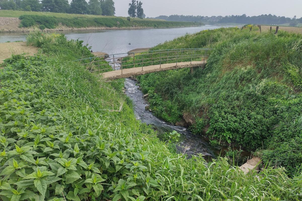 Foto: RWS_Frank Coolen